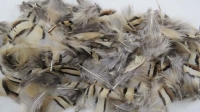 FEATHERS PHEASANT NATURAL 7 GM # - Click for more info